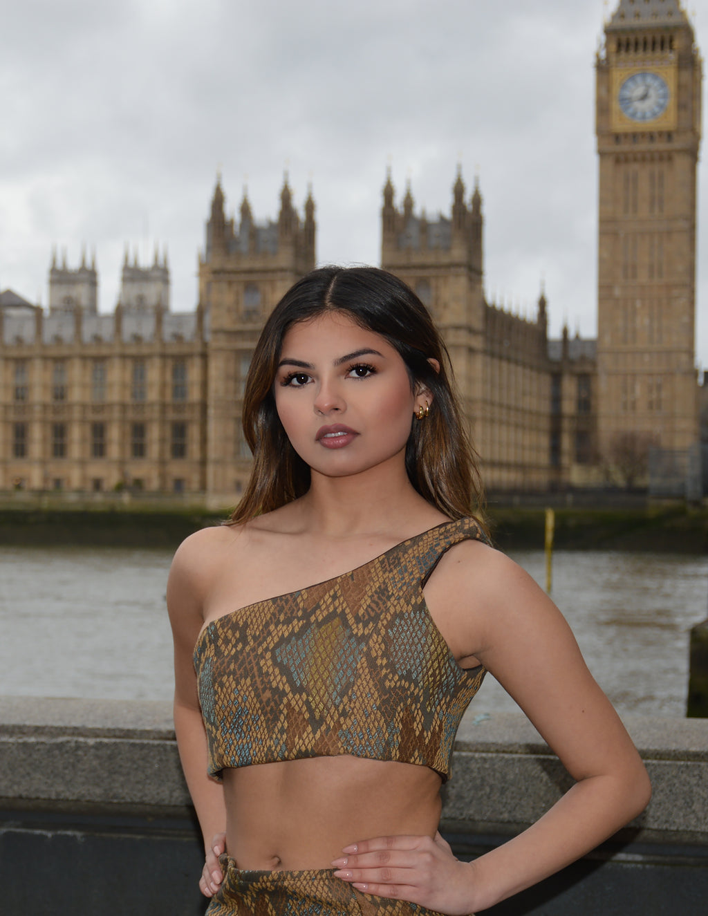 Brown Snake Print One-Sleeve Crop Top