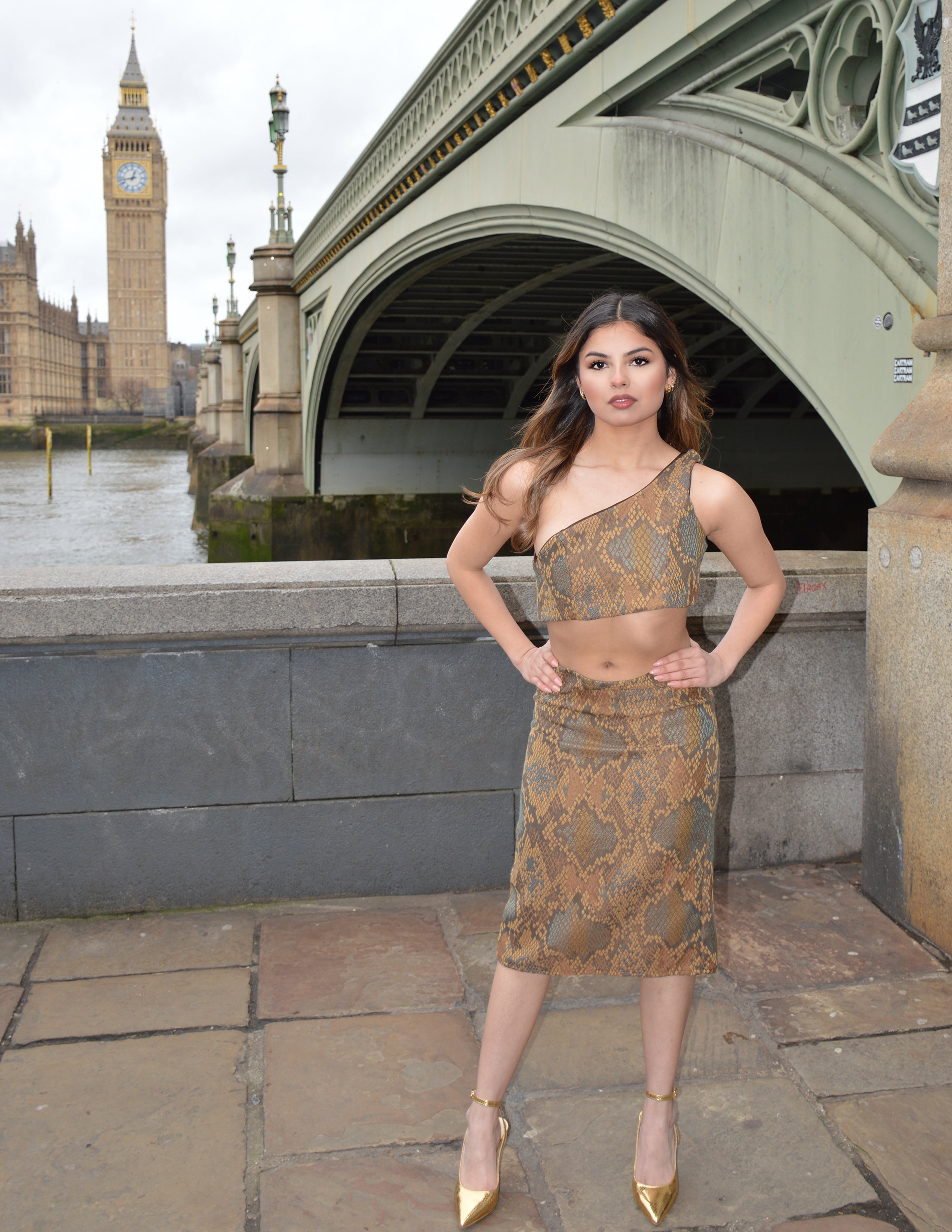 Brown Snake Print Pencil Skirt
